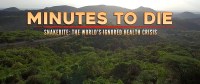 Minutes to Die: The World's Ignored Health Crisis
