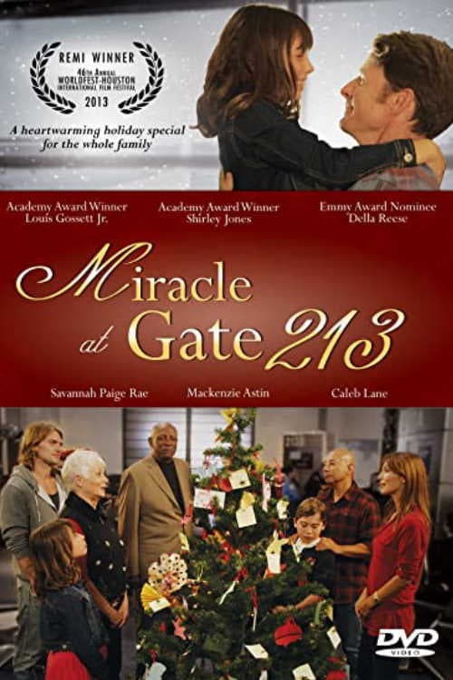 Poster de MIRACLE AT GATE 213