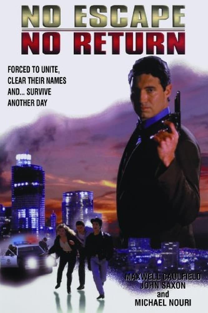 Poster de MISIÓN SUICIDA