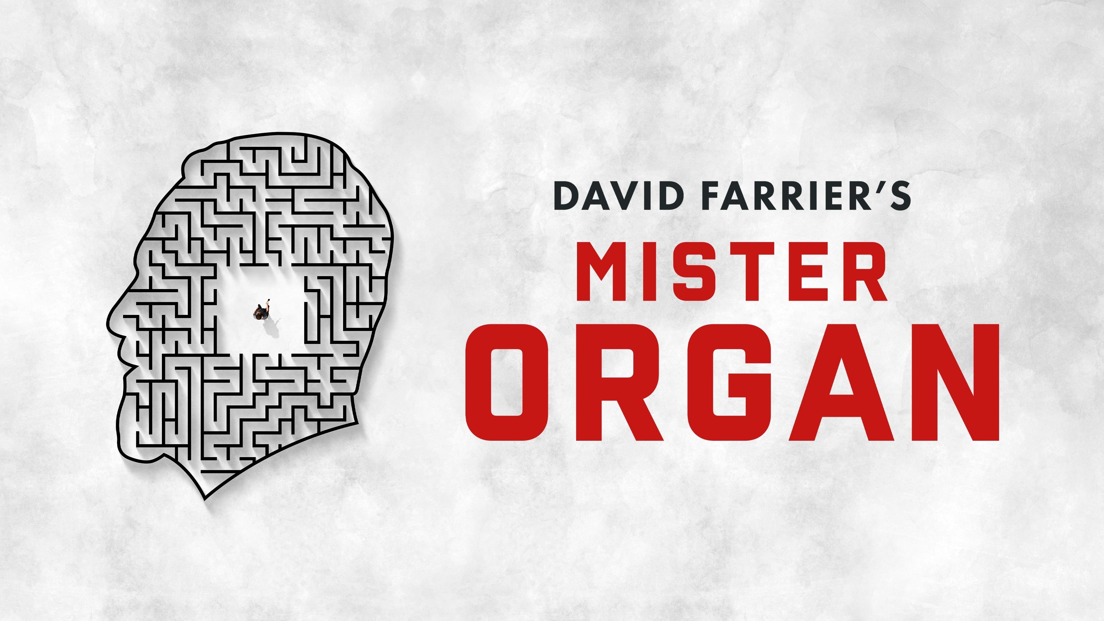 Foto de MISTER ORGAN