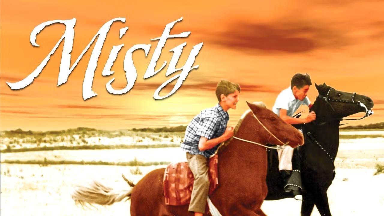 Foto de MISTY