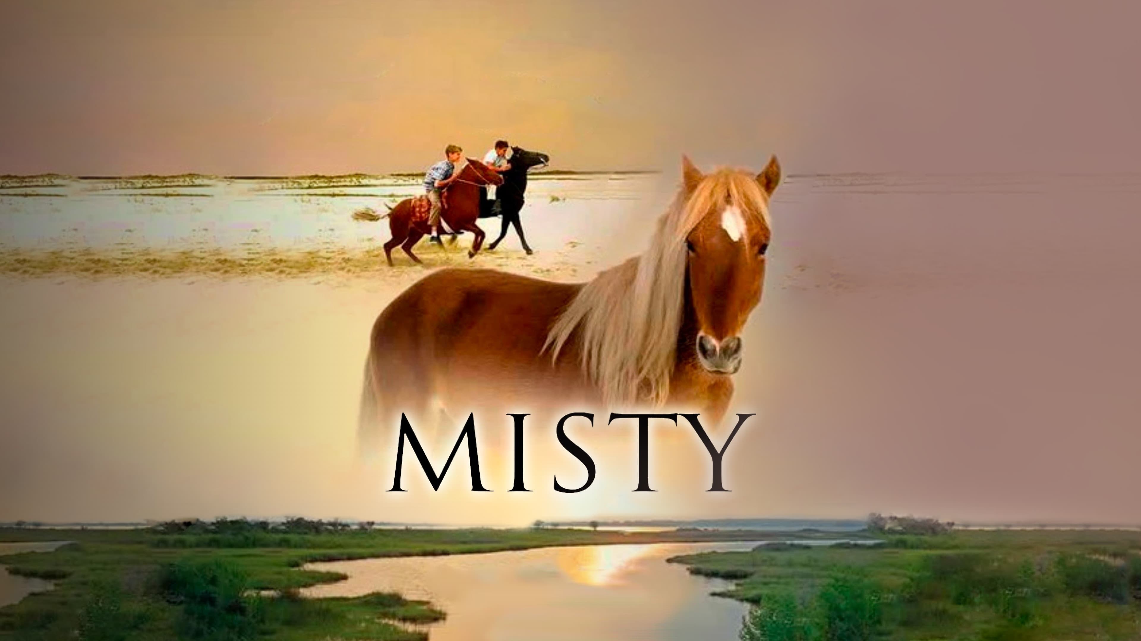 Foto de MISTY