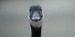 Modern Goose