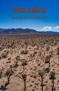 Mojave: Vistas of the Desert
