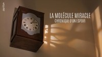 Molécule miracle - Chronologie d'un espoir