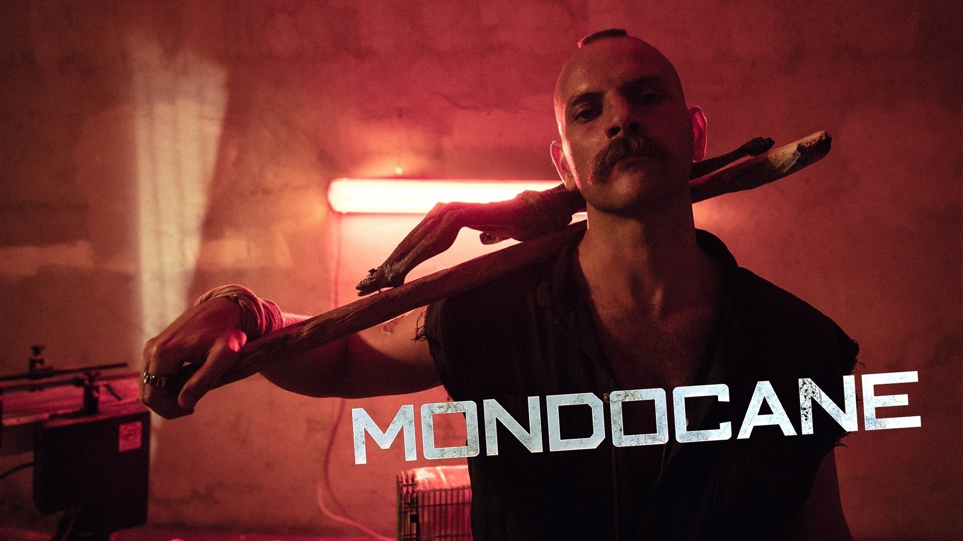 Foto de MONDOCANE
