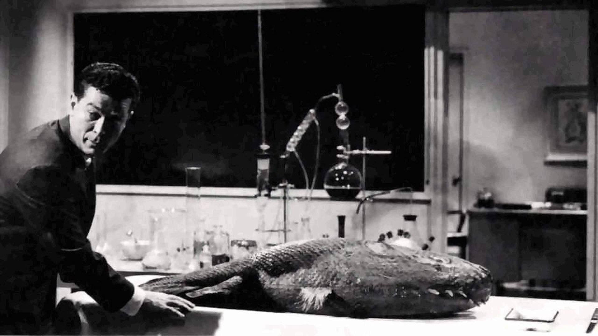 Foto de MONSTER ON THE CAMPUS