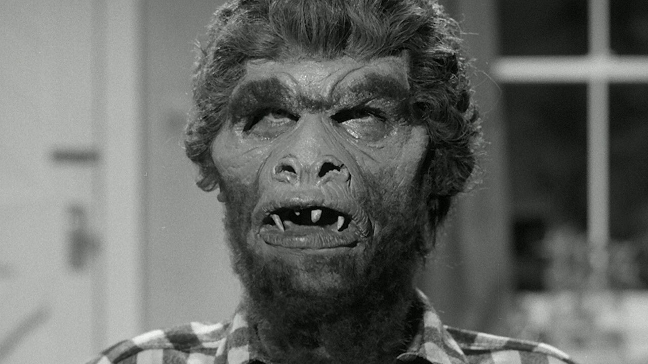 Foto de MONSTER ON THE CAMPUS