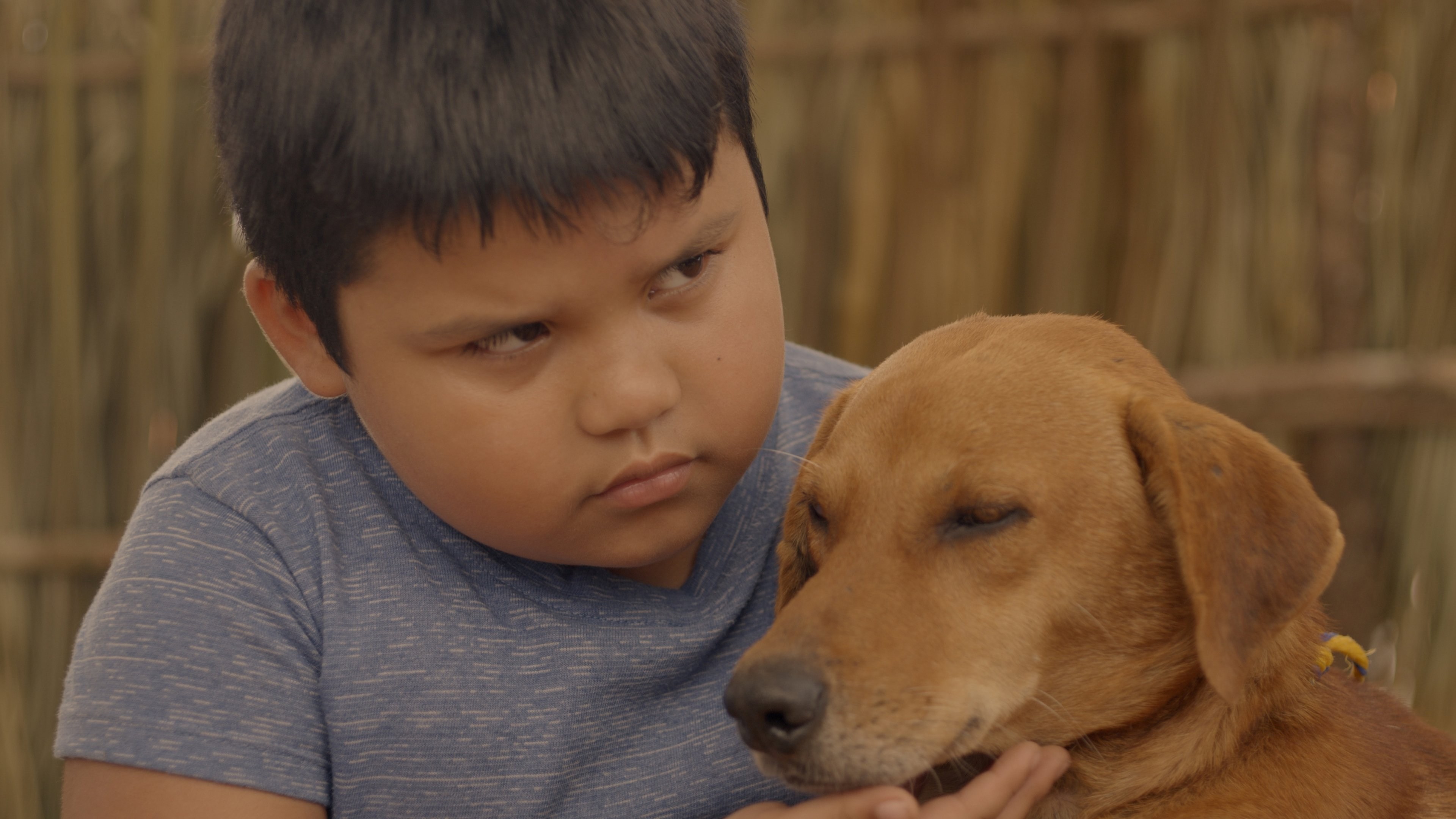 Foto de MONSTRUO DE XIBALBA