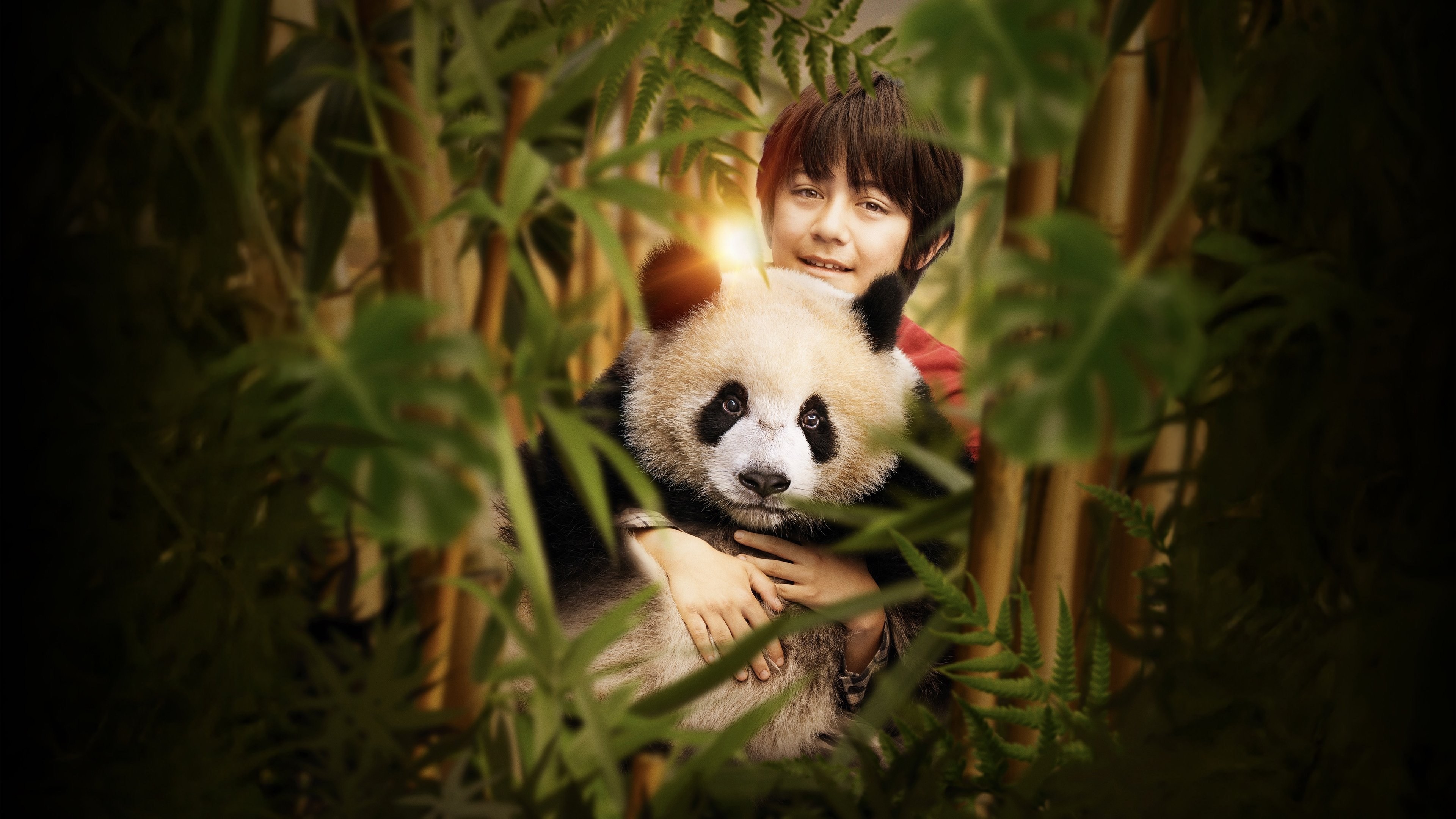 Foto de MOON MI AMIGO PANDA