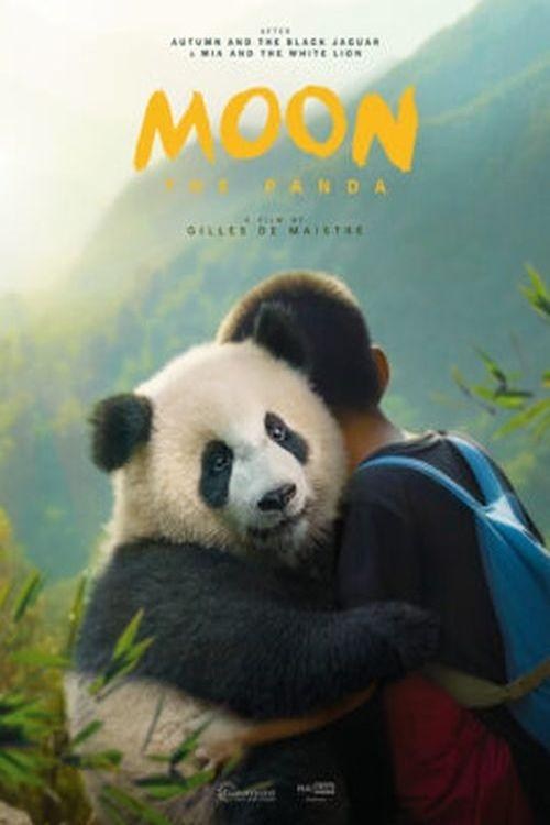 Poster de MOON MI AMIGO PANDA en inglés