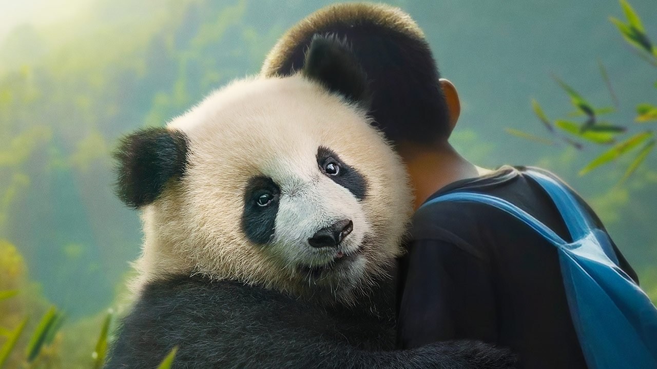 Foto de MOON MI AMIGO PANDA