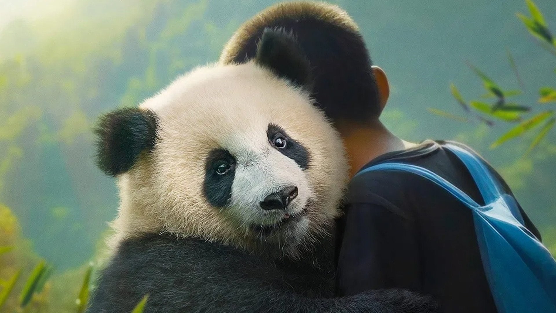 Foto de MOON MI AMIGO PANDA