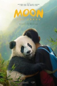 Moon Mi Amigo Panda