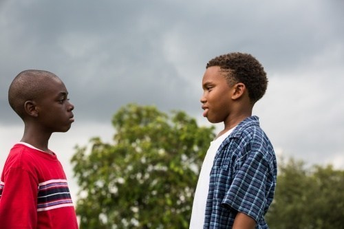 Foto de MOONLIGHT 