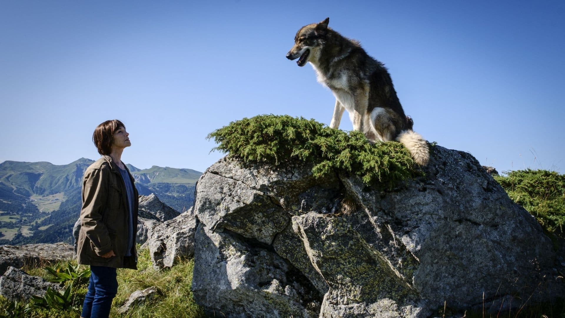 Foto de MORT D'UN BERGER