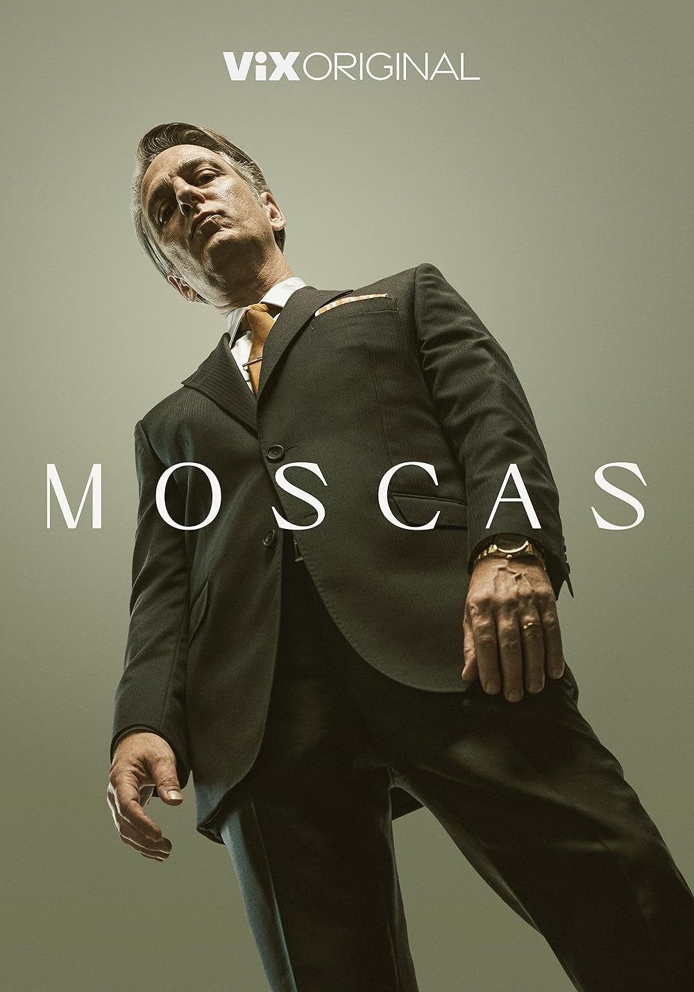 Poster de MOSCAS