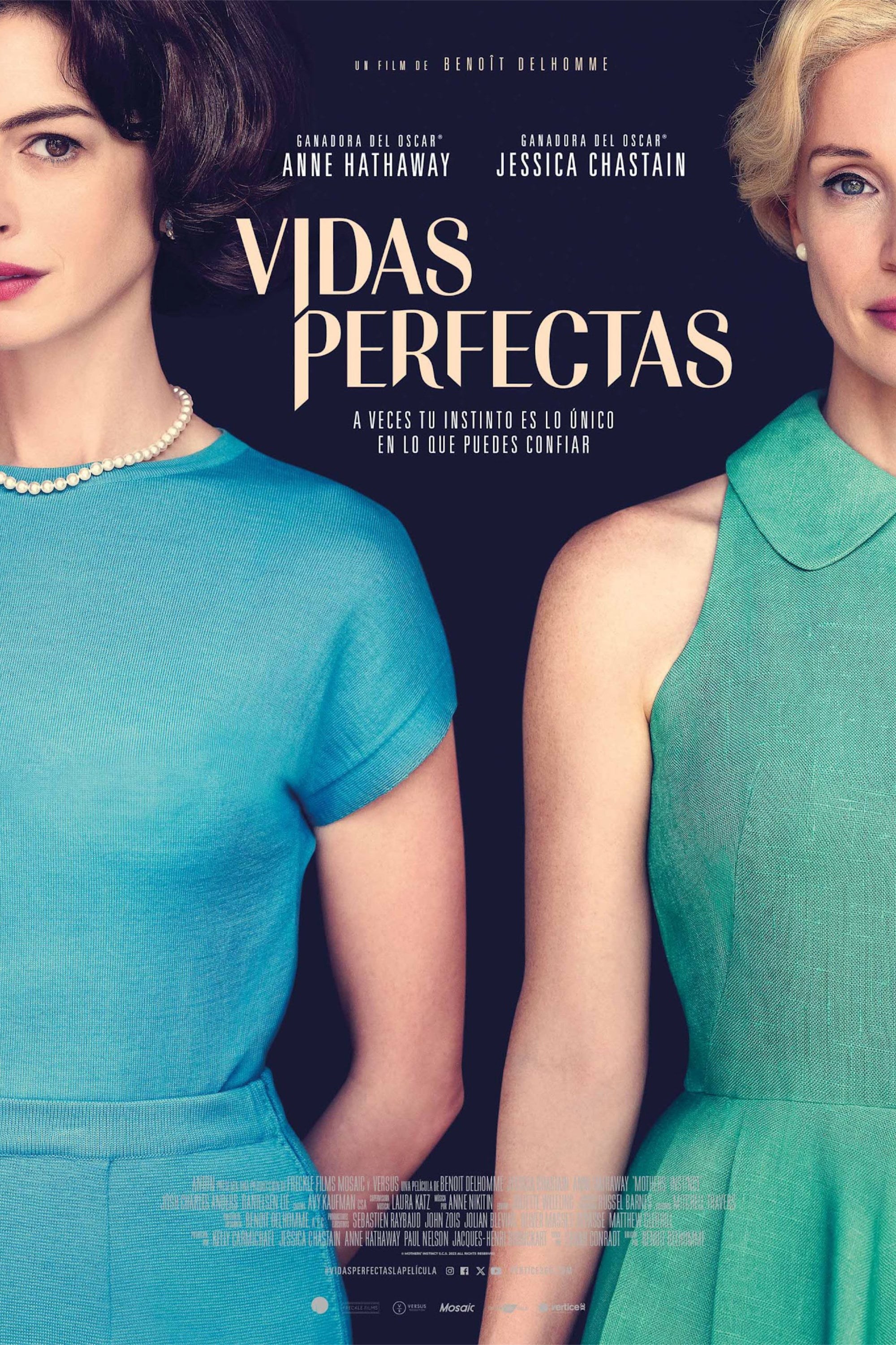 Poster de VIDAS PERFECTAS en español