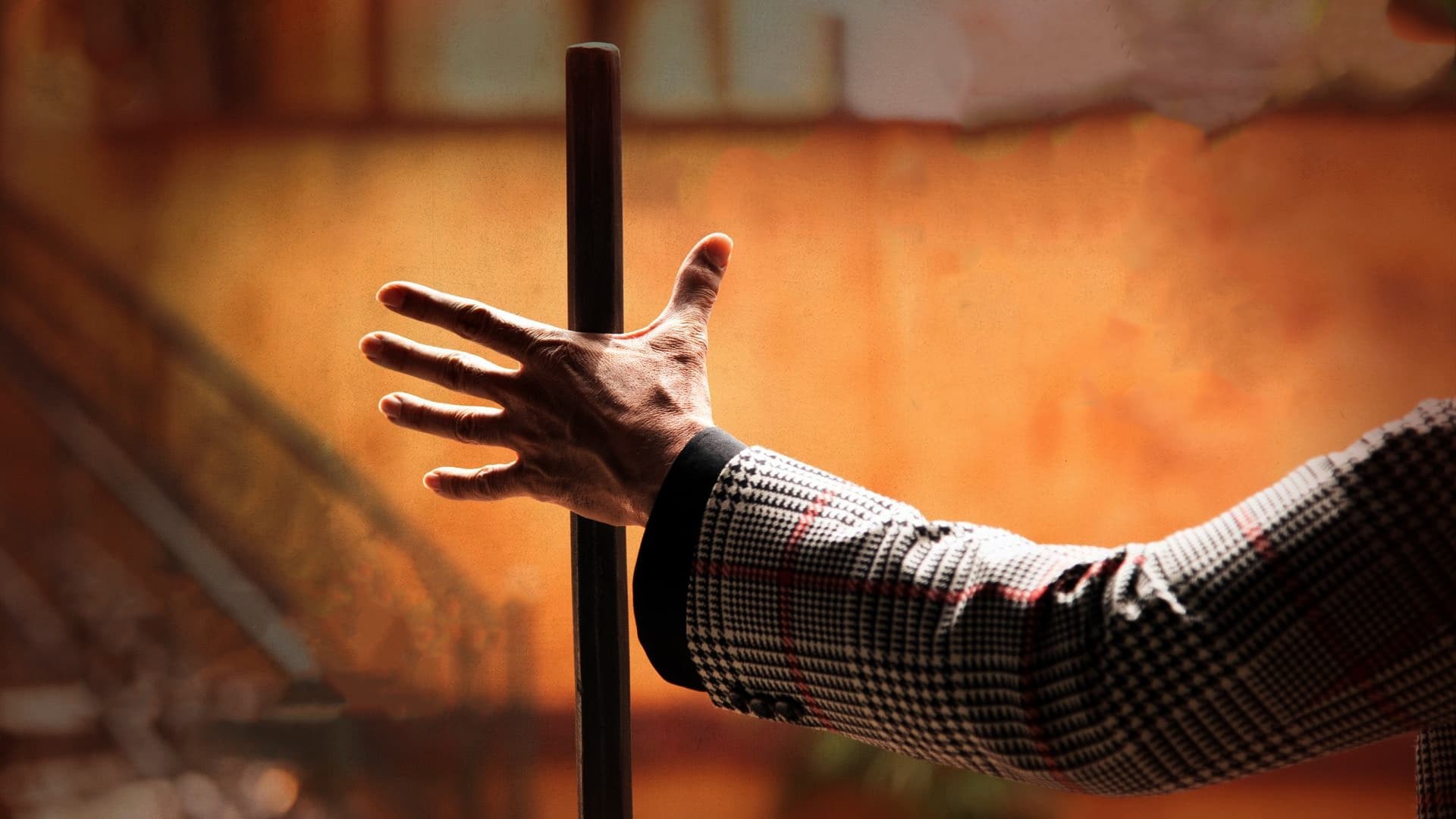 Foto de MR BACHCHAN