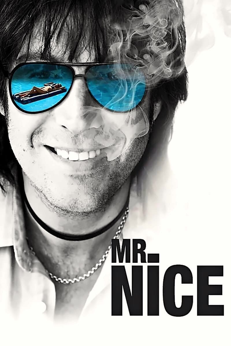 Poster de MR. NICE en inglés