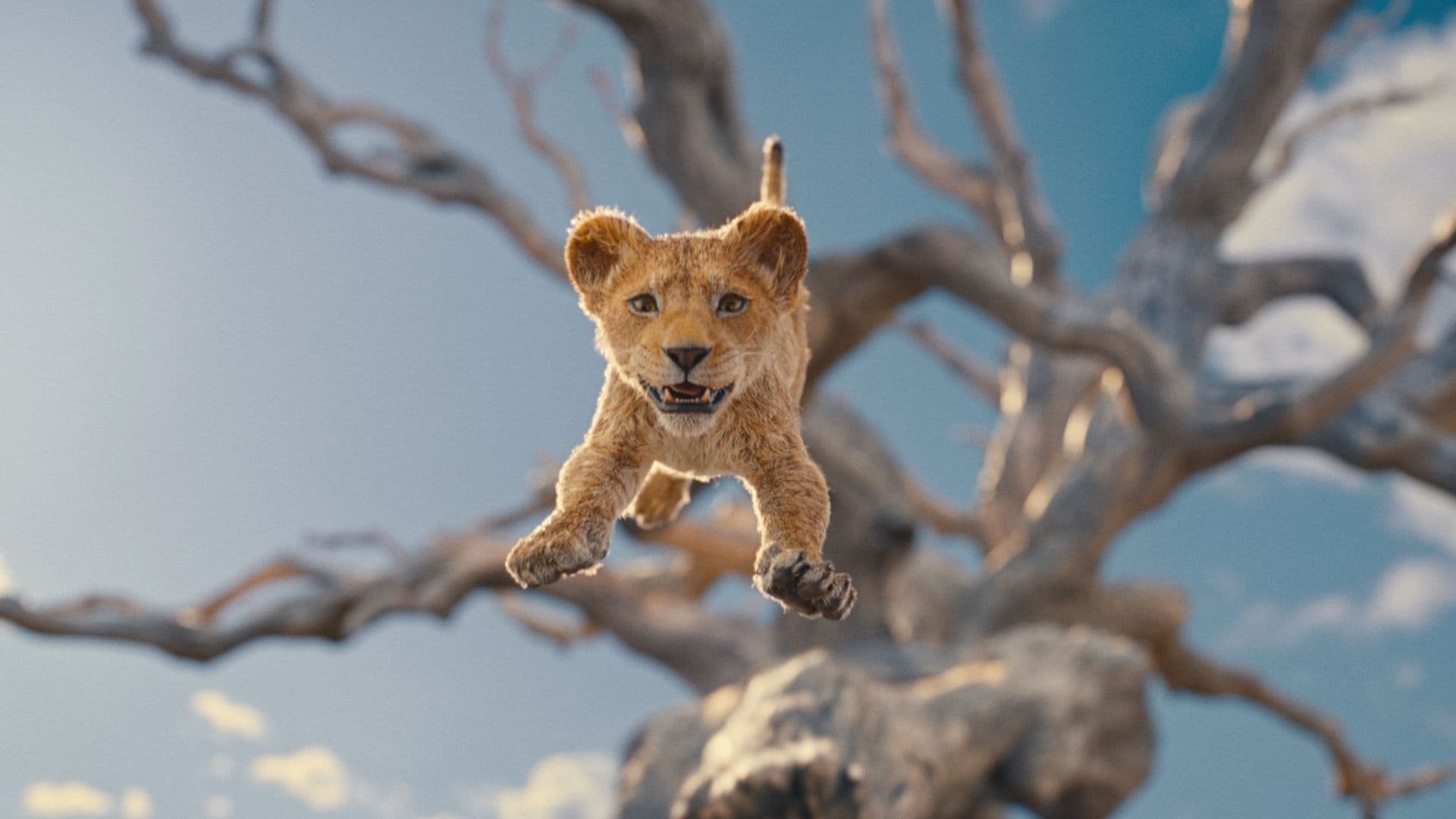 Foto de MUFASA: EL REY LEÓN