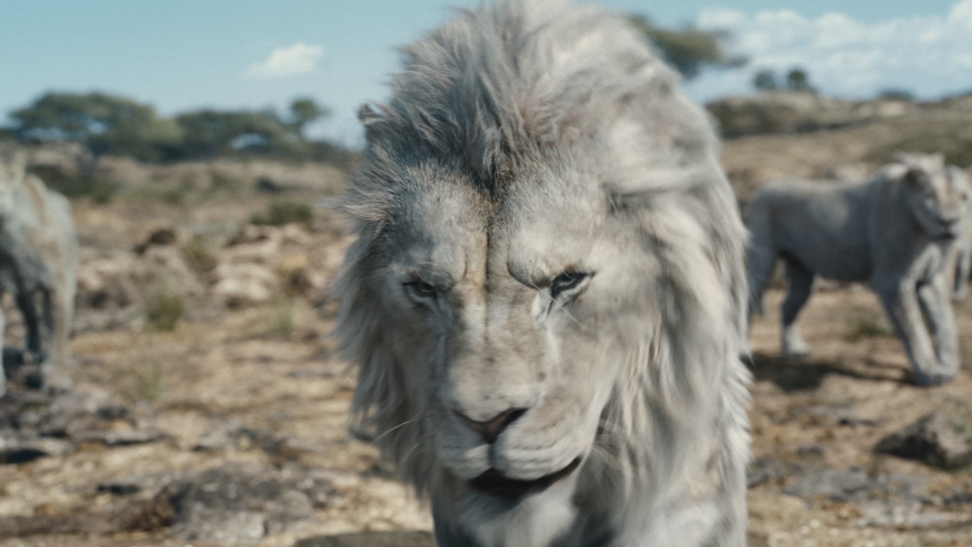 Foto de MUFASA: EL REY LEÓN