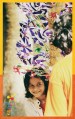 মুকুলের যাদুর ঘোড়া