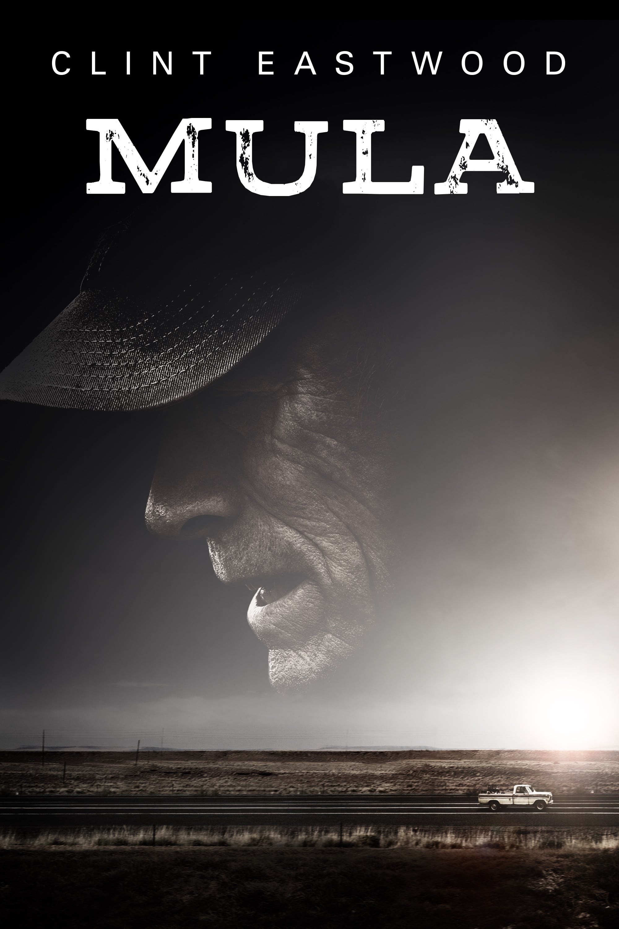 Poster de MULA en español