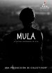 Mula