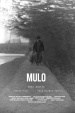 Mulo