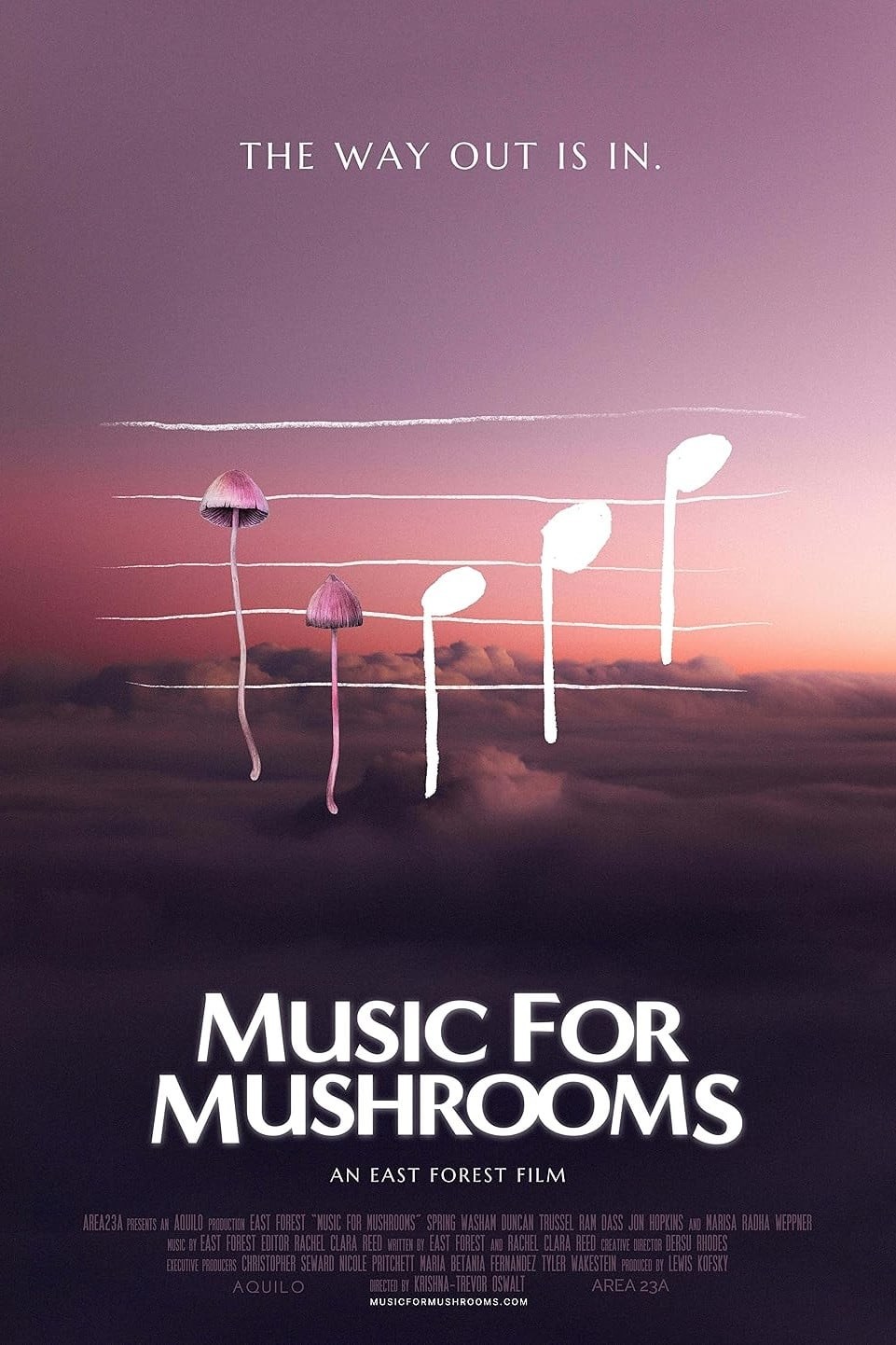 Poster de MUSIC FOR MUSHROOMS en inglés