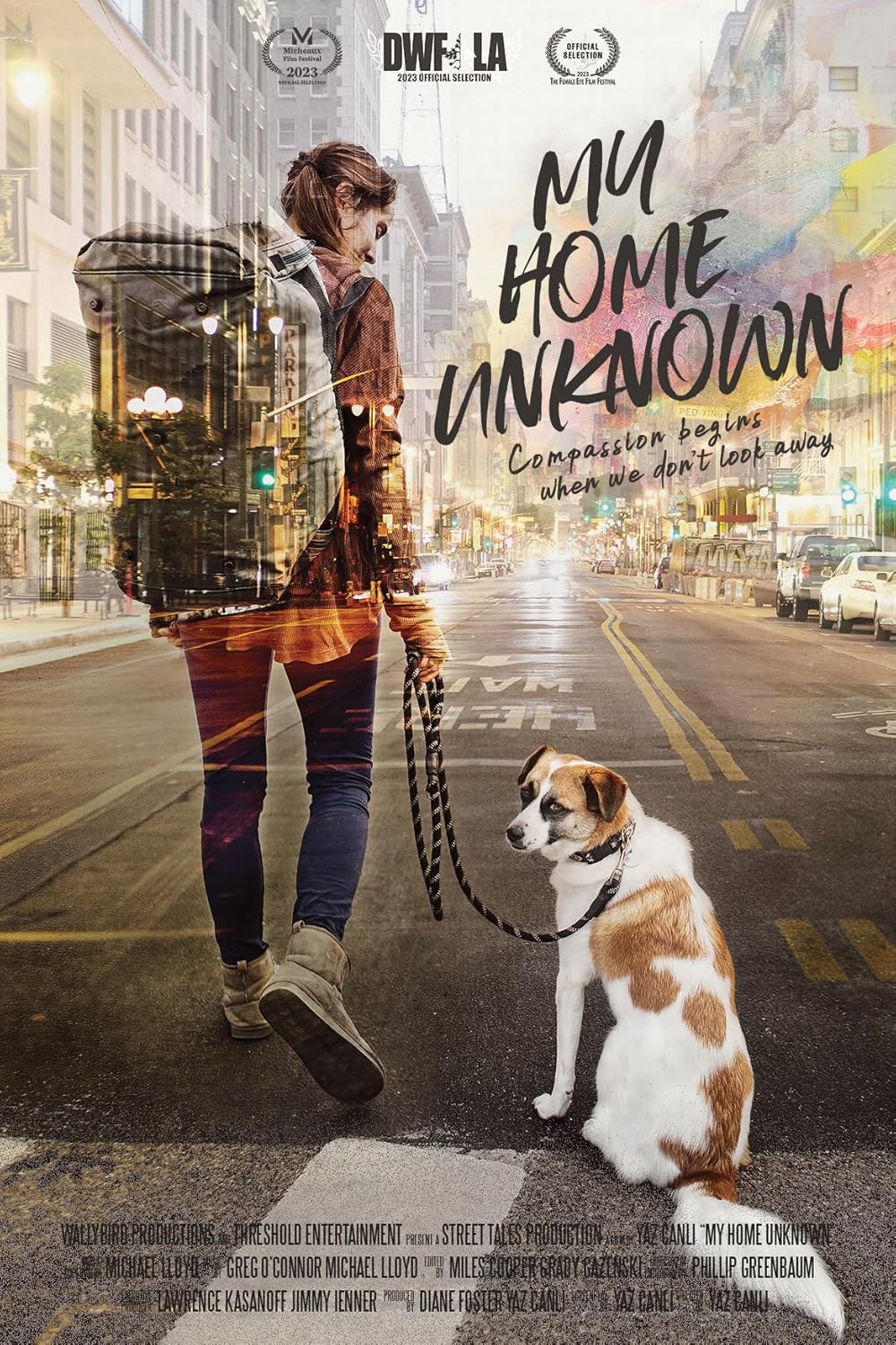 Poster de MY HOME UNKNOWN