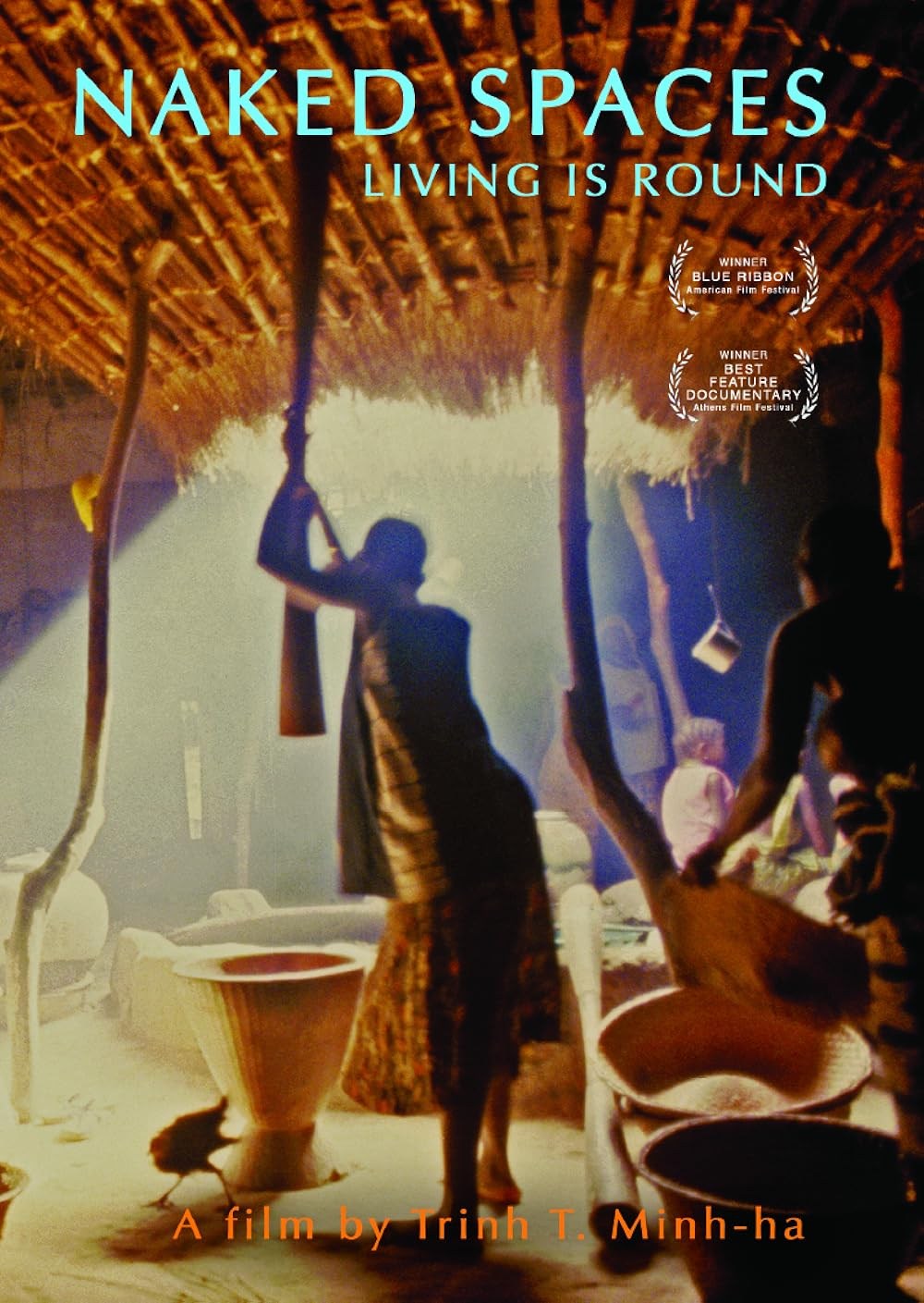 Poster de NAKED SPACES: LIVING IS ROUND
