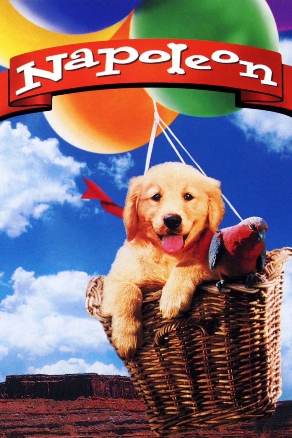 Poster de NAPOLEÓN, EL PERRITO AVENTURERO en inglés