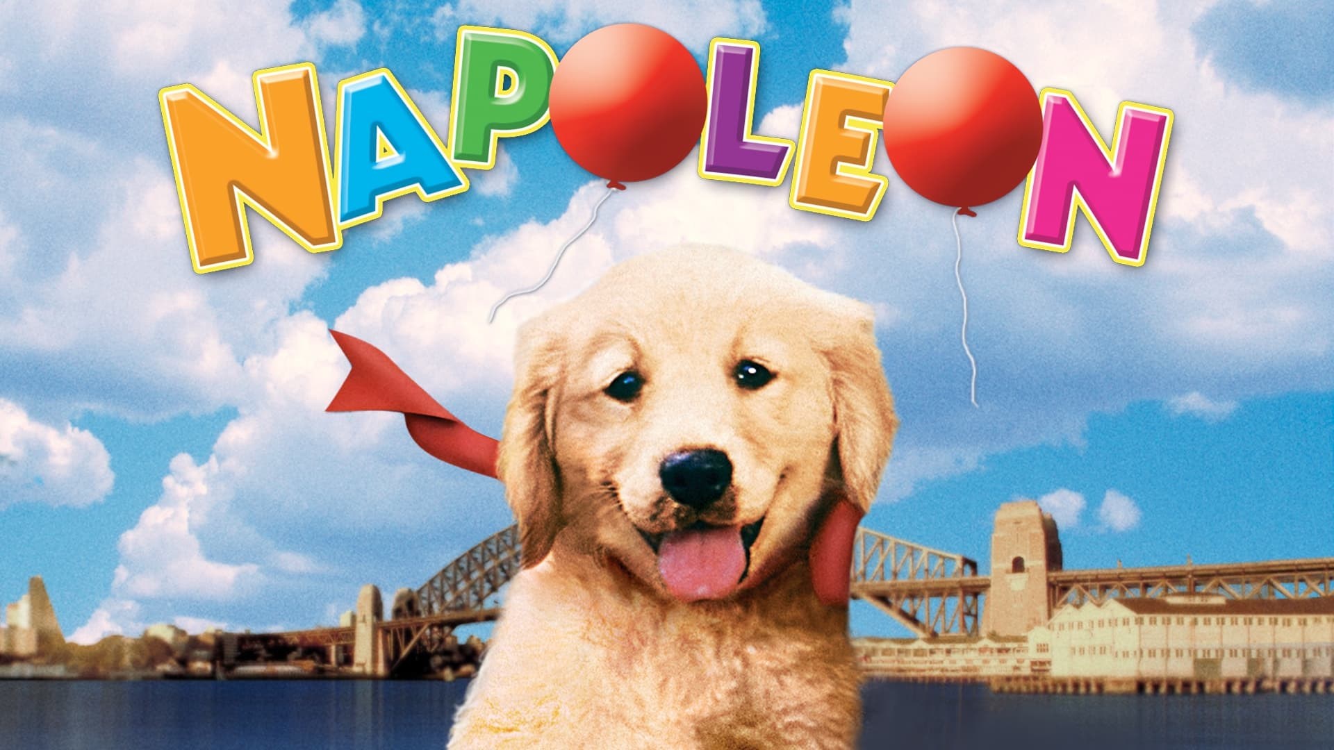 Foto de NAPOLEÓN, EL PERRITO AVENTURERO