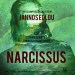 Narcissus