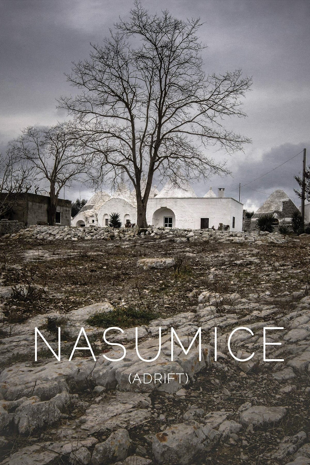 Poster de NASUMICE en inglés