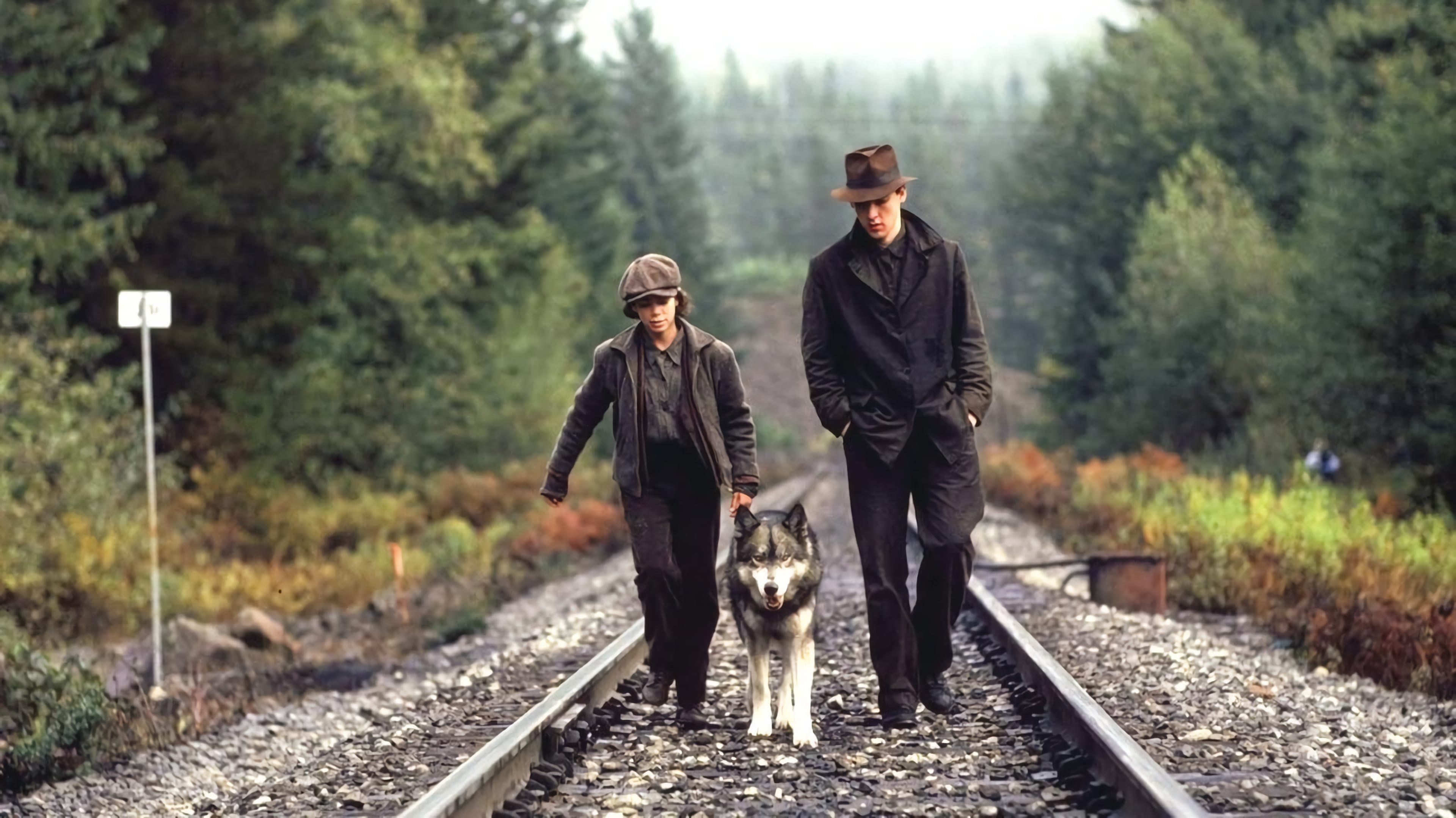 Foto de NATTY GANN