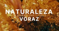 Naturaleza voraz