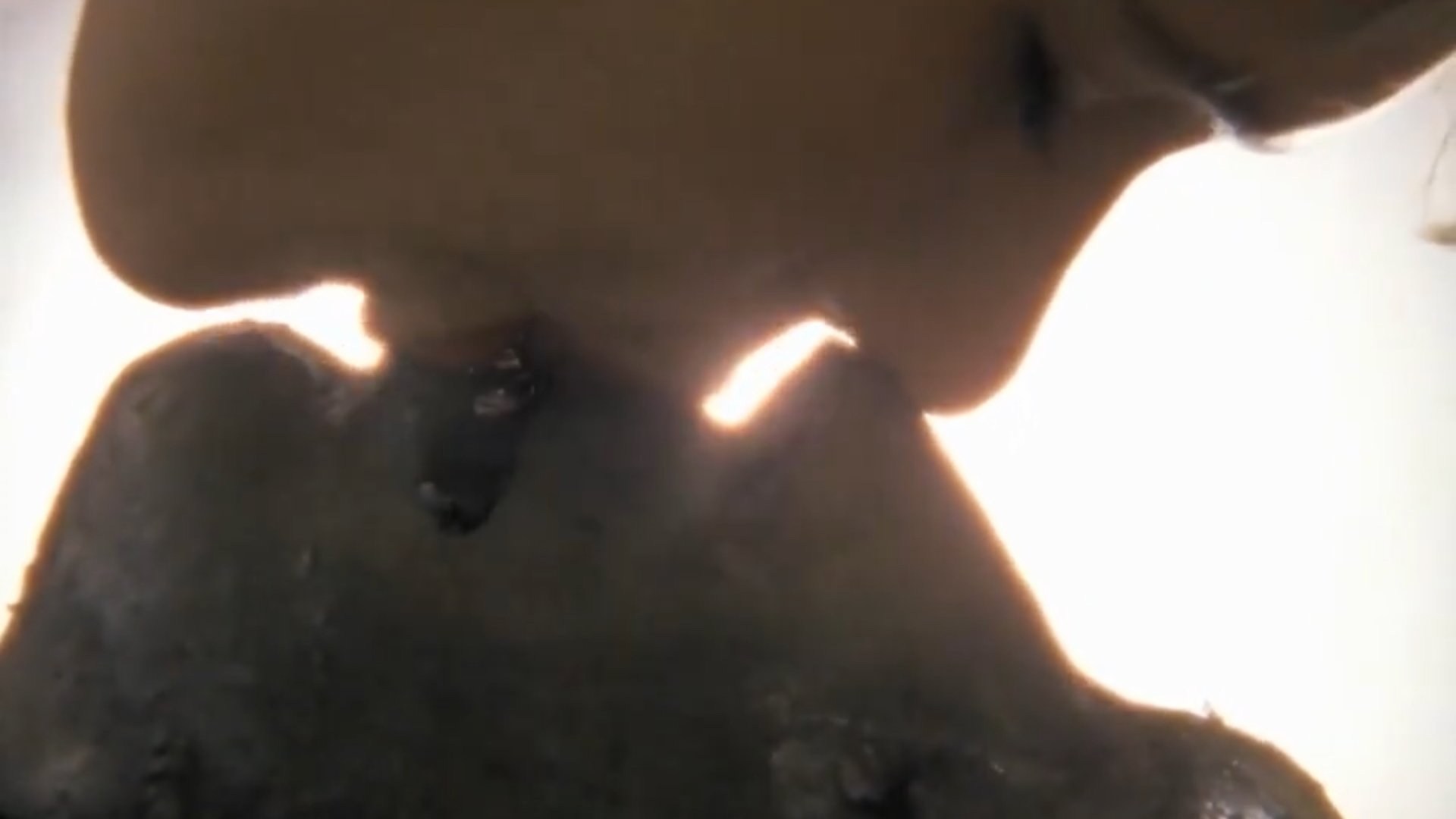 Foto de NEKROMANTIK 2