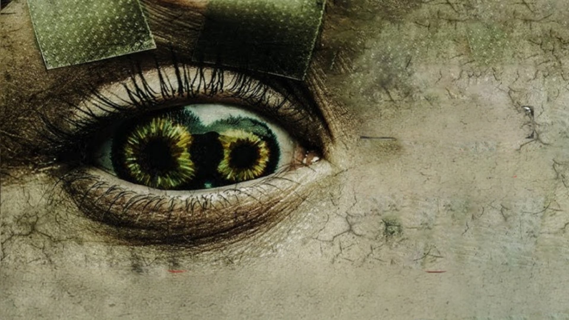 Foto de NEVER BLINK