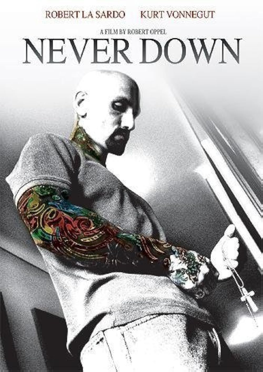 Poster de NEVER DOWN