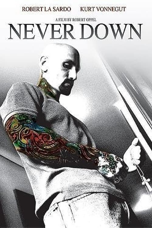 Poster de NEVER DOWN