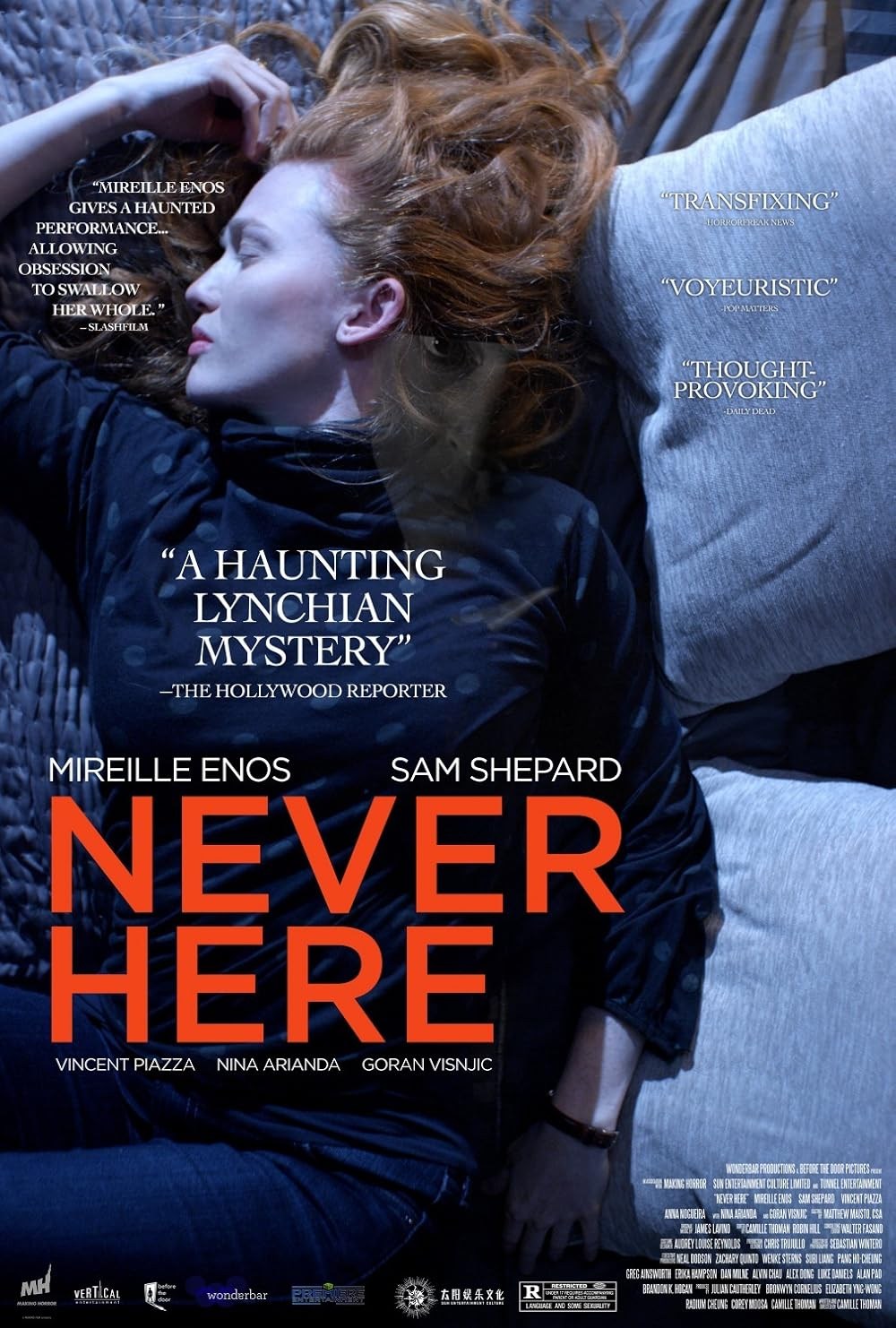 Poster de NEVER HERE