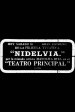 Nidelvia
