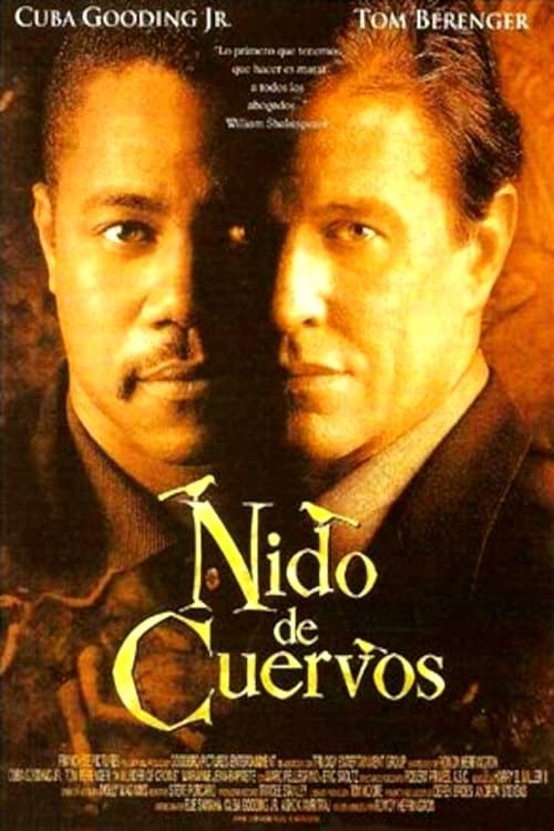 Poster de NIDO DE CUERVOS en español