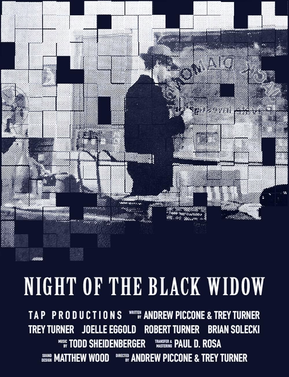 Poster de NIGHT OF THE BLACK WIDOW