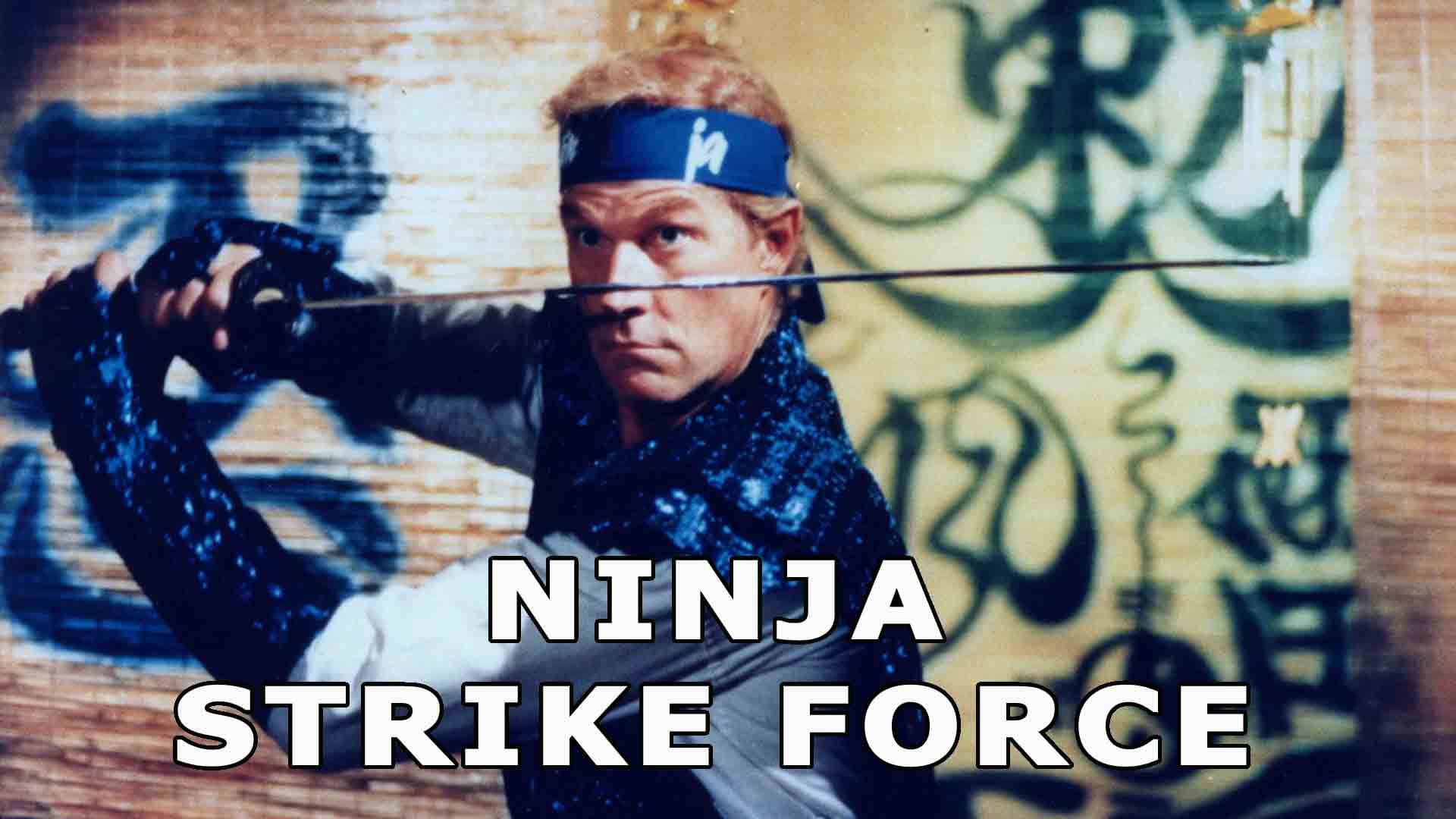 Foto de NINJA STRIKE FORCE