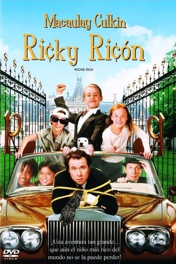 Poster de NIÑO RICO en español