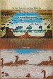 No Duck Land